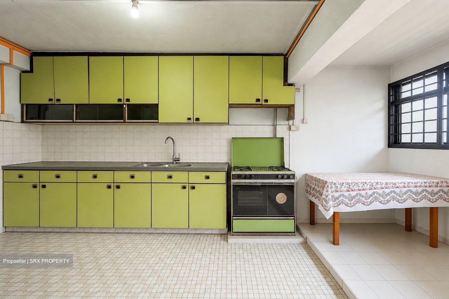 Holland Avenue (Queenstown),  #575951211
